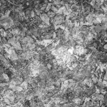 Patterns Waldboden 1 02