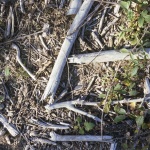 Patterns Waldboden 2 10
