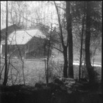 05 Border's Forest